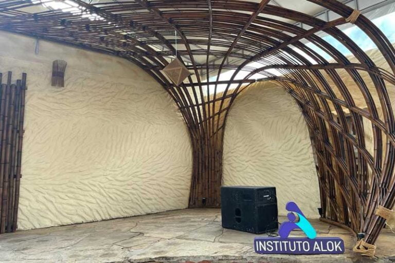 sintropia-instituto-alok-02